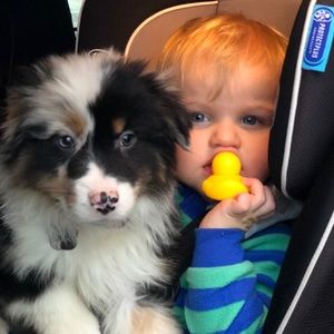 Meet your Posher, Brittany